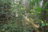 下野 玉生城の写真
