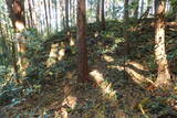 下野 玉生城の写真
