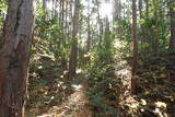 下野 玉生城の写真