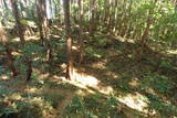 下野 玉生城の写真