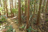下野 玉生城の写真