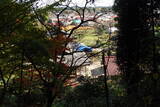 下野 玉生城の写真