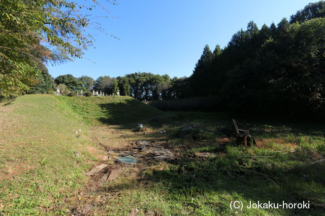 下野 田中城の写真