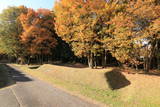 下野 飛山城の写真