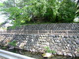 下野 栃木城の写真