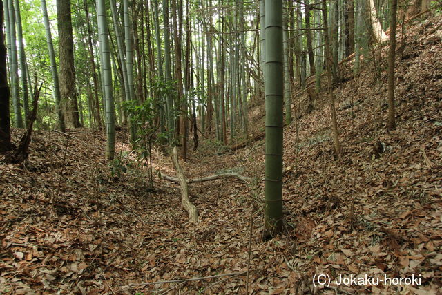 下野 戸田城の写真