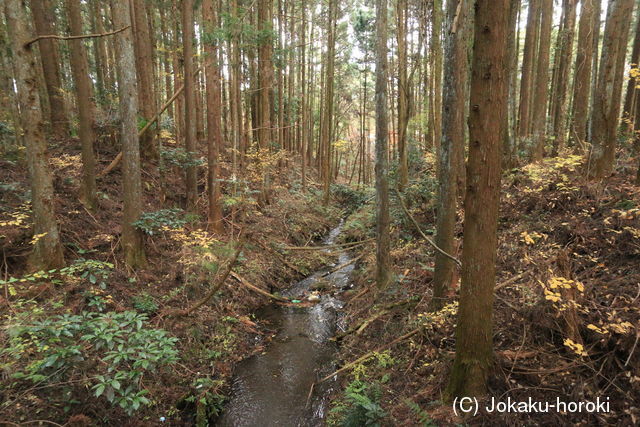 下野 轟城の写真