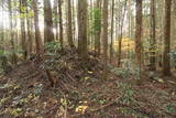 下野 轟城の写真