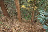 下野 轟城の写真