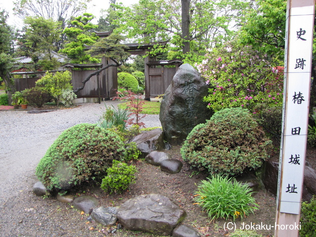 下野 椿田城の写真