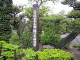 下野 椿田城の写真