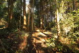 下野 鰻山城の写真