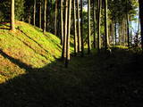 下野 八木岡城の写真