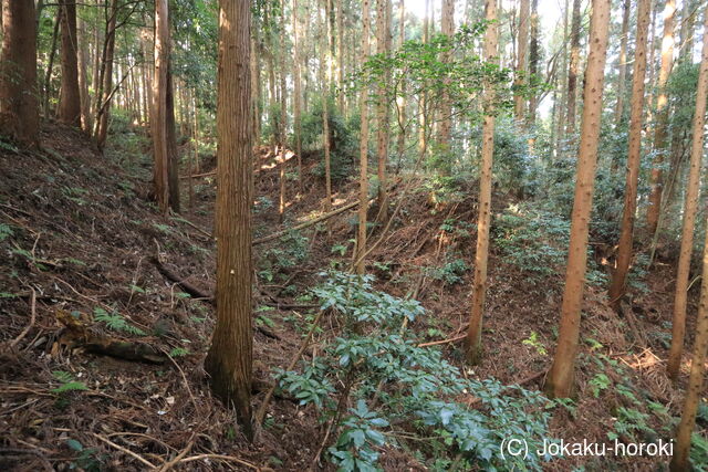 下野 山田城(矢板市)の写真