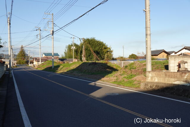 下野 横小路城の写真