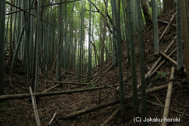 下総 福星寺館の写真