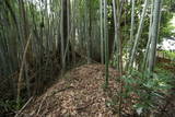 下総 福星寺館の写真