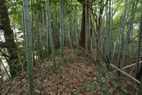 下総 福星寺館の写真