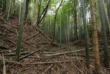 下総 福星寺館の写真