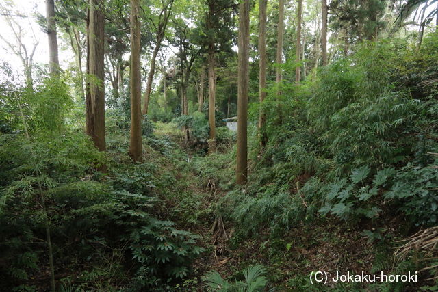 下総 岩富城の写真