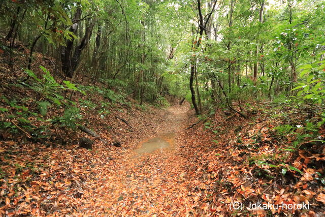 下総 神崎城(東の城)の写真