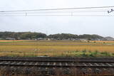 下総 神崎城(東の城)の写真