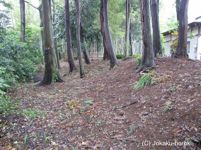 下総 小堤城の写真