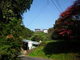下総 宮和田城の写真