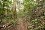 下総 森山城の写真