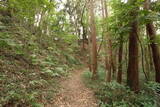 下総 森山城の写真