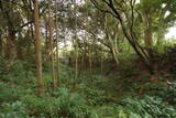 下総 森山城の写真