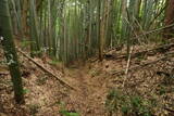 下総 森山城の写真