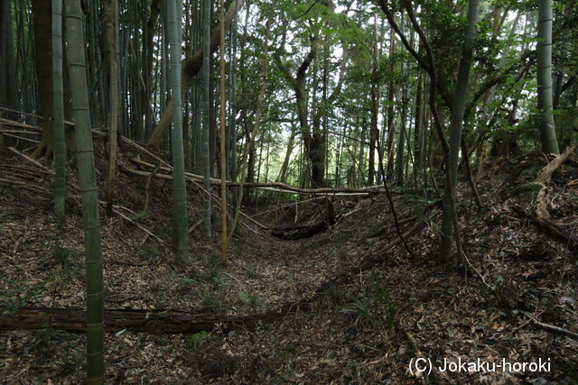 下総 大篠塚城の写真