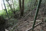 下総 大篠塚城の写真