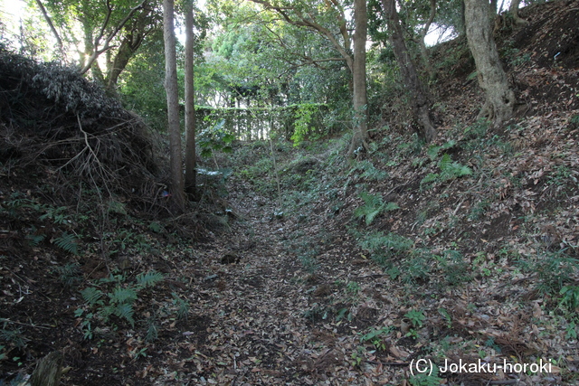 下総 小見川城の写真