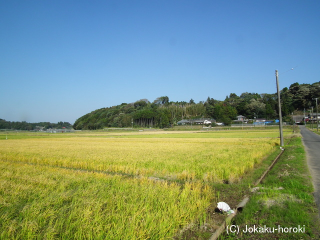 下総 大堀城の写真