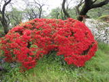 下総 山川館の写真