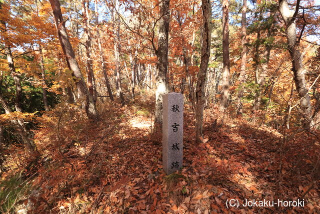 信濃 虚空蔵山 秋吉砦の写真