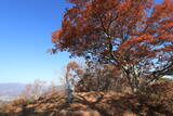 虚空蔵山城(会田 峯の城)写真