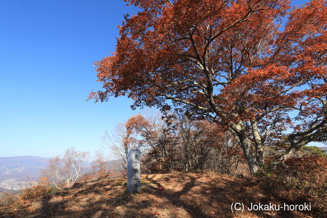 信濃 虚空蔵山城(会田 峯の城)の写真