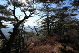 信濃 虚空蔵山城(会田 峯の城)の写真