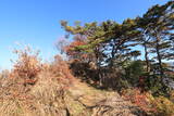 信濃 虚空蔵山城(会田 峯の城)の写真