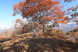 信濃 虚空蔵山城(会田 峯の城)の写真