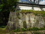 信濃 阿島陣屋の写真