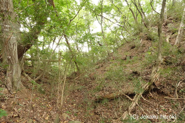 信濃 赤沢城(塩崎新城)の写真