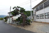 信濃 赤沢城(塩崎新城)の写真