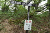 信濃 赤沢城(塩崎新城)の写真