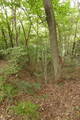 信濃 赤沢城(塩崎新城)の写真