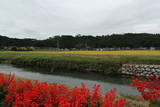 信濃 赤須城の写真