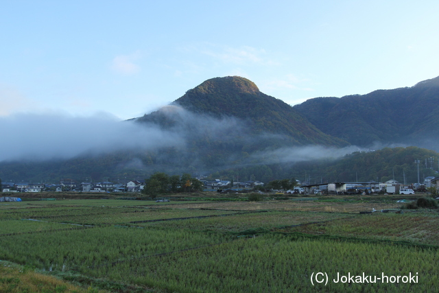 信濃 尼巌城の写真